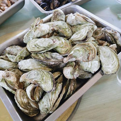 一个致敬韩寒免费视频应用界面展示